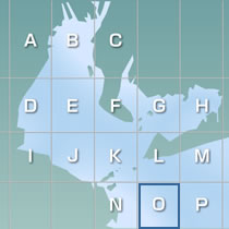 海図