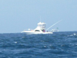 type1