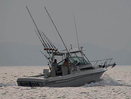 type1