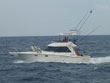 type1