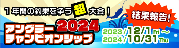 AO[`sIVbv2024@ʕ