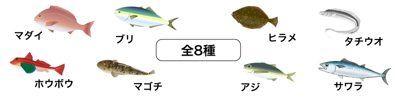 ●マダイ ●ブリ ●ヒラメ ●タチウオ<br>
●ホウボウ ●マゴチ ●サワラ ●アジ(全8種)