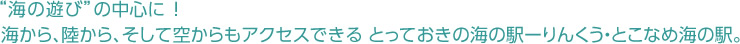 海の遊びの中心に！海から、陸から、空かもアクセスできるとっておきの海の駅-りんくう・とこなめ海の駅。