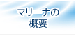 マリーナりんくう　マリーナ概要