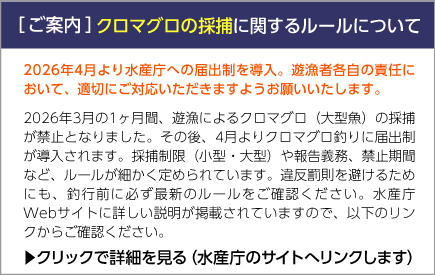 MUTA MARINE SURFING　ウェイクサーフスクール　2023年受付スタート