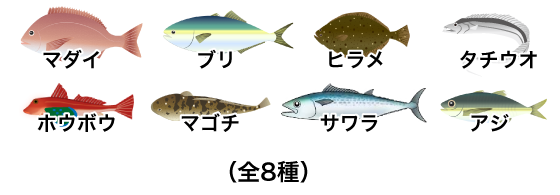 ●マダイ ●ブリ ●ヒラメ ●タチウオ<br>
●ホウボウ ●マゴチ ●サワラ ●アジ(全8種)