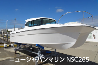 j[Wp}NSC265