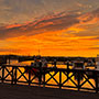 �T���l�C��