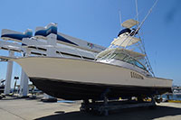 アルベマーレ 410XF photo