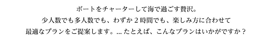 ボートをチャーターして海で過ごす贅沢。少人数でも多人数でも、わずか2時間でも終日でも、楽しみ方に合わせて最適なプランをご提案します。…たとえば、こんなプランはいかがですか？